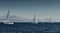 The race of sailboats, a regatta, reflection of sails on water, Intense competition, number of boat is on aft boats