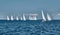 The race of sailboats, a sail regatta, reflection of sails on water, Intense competition, number of boat is on aft boats