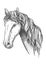 Racehorse of appaloosa breed sketch symbol