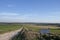 Racehorse gallops in rural Wiltshire