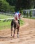 A racehorse and jockey in a horse race