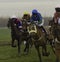 Racehorse point to point meeting at Thorpe Lodge , Newark