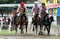 Racehorse rider collided speed in traditional horse