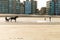 Racehorse training on the beach