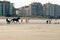 Racehorse training on the beach