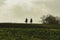 Racehorses returing from the gallops in silhouette