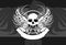 Racer chopper skull tattoo insignia background3