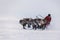 Races on reindeer sled in the Reindeer Herder\'s Day on Yamal, Sporting activity.