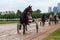 Racetrack horse racing jockey approaching the finish line, sports with horses