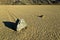 Racetrack Playa, Death Valley