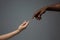 Racial tolerance. Respect social unity. African and caucasian hands gesturing  on gray studio background