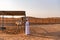 Racing Camel Farm, Al Ain, UAE