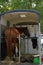 Racing horse in a horse trailer. It is open and parked.