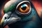 Racing pigeon eye in close up