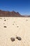 Racing rock in Death Valley