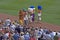 Racing Sausages at Miller Park, Milwaukee Brewers