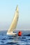 Racing yachts Melges-24