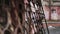 Rack focus shot of old rusty forged gate in desolate yard of ancient building