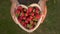 Rack focus of young woman holding a heart shaped wooden bowl of fresh red strawberries outside