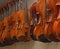 Rack of hanging violins 1