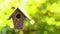 Rack pull focus video bird house hanging in a tree in a garden during summer