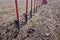 Rack with shovels near an arid field before tree planting.