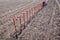 Rack with shovels near an arid field before tree planting.