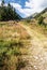 Rackova dolina valley in Western Tatras mountains in Slovakia