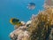 Racoon Butterflyfish Chaetodon lunula