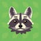 Racoon emotional head. Vector illustration of cute coon shows neutral emotion. Poker face emoji. Smiley icon. Print