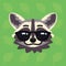 Racoon emotional head. Vector illustration of cute coon in sunglasses shows cool emotion. Awesome emoji. Smiley icon