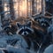 Racoon family in the forest with setting sun shining.