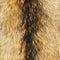 Racoon fur