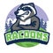 Racoon mascot style