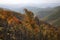 Radan mountain near Prolom Banja. Serbia