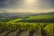 Radda in Chianti vineyard and panorama at sunset. Tuscany, Italy