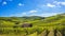 Radda in Chianti vineyard and panorama at sunset. Tuscany, Italy