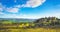 Radi village, rolling hills, olive trees and green fields. Tuscany, Italy