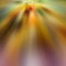 Radial blurred colored rays. Abstract background.
