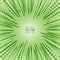 Radial speed lines of green rays and white flowers. Ecological, natural festive illustration. Background spring, summer