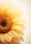 Radiant Blooms: A Vibrant Sunflower Vase for Your Business Suppl