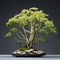 Radiant Clusters: A Detailed Dill Bonsai Inspired By Prehistoric Art