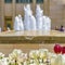 Radiant flowers in front of fountain and building viewed on a sunny spring day