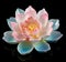 Radiant Grand Lotus Unfolding: An Abstract Journey into Symbolic Beauty AI Generated