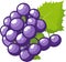 Radiant Grapes: A Simple and Minimalist Cartoon Illustration of Shining Grapes on the Vine