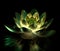 Radiant Green Lotus Amidst Serene Garden (AI Generated)