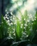 Radiant Lily of the Valley: A Burst of Sunlight in a Sea of Flowers