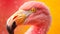 Radiant Majesty: Realistic Pink Flamingo on Yellow Surface