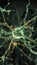 Radiant Neural Network Simulation: Visual Representation of Neurons and Synapses in the Brain