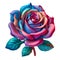 Radiant Oklahoma Rose in Pink & Blue - Botanical Elegance for Graphic Brilliance.